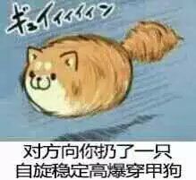 对方向你扔了一只自旋稳定高爆穿甲狗